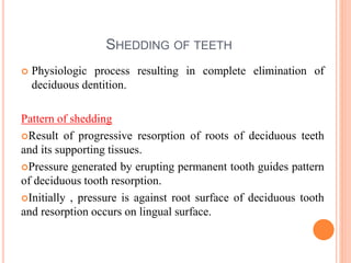 SHEDDING OF TEETH
 Physiologic process resulting in complete elimination of
deciduous dentition.
Pattern of shedding
Result of progressive resorption of roots of deciduous teeth
and its supporting tissues.
Pressure generated by erupting permanent tooth guides pattern
of deciduous tooth resorption.
Initially , pressure is against root surface of deciduous tooth
and resorption occurs on lingual surface.
 