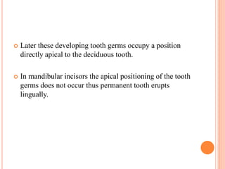  Later these developing tooth germs occupy a position
directly apical to the deciduous tooth.
 In mandibular incisors the apical positioning of the tooth
germs does not occur thus permanent tooth erupts
lingually.
 
