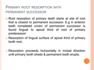 PRIMARY ROOT RESORPTION WITH
PERMANENT SUCCESSOR
 Root resorption of primary teeth starts at site of root
that is closest to permanent successor. E.g in anterior
teeth completed crown of permanent successor is
found lingual to apical third of root of primary
predecessor:
 Resorption of lingual surface of apical third of primary
tooth root.
 Resorption proceeds horizontally in incisal direction
until primary tooth sheds & permanent tooth erupts.
 