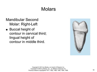 Oral Anatomy: Tooth identification | PPTX