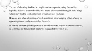 • The act of chewing food is also implicated as an predisposing factors like
repeated occlusal overload due to oral habits or accidental biting on hard things
which may lead to tooth infarction or vertical root fractures.
• Bruxism and often clenching of teeth combined with wedging effect of cusp on
opposing fossae can be stressful to the teeth.
• In molars upto 90kgs biting forces is noted hence are subject to extensive stress,
so is termed as ‘fatigue root fractures’ (Suggested by Yeh et al).
 