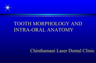 TOOTH MORPHOLOGY AND
INTRA-ORAL ANATOMY

Chinthamani Laser Dental Clinic

 
