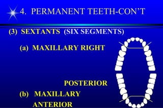 Tooth Secant Tooth morphology and Intra oral anatomy | PPT