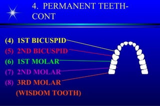 Tooth morphology and Intra oral anatomy | PPT