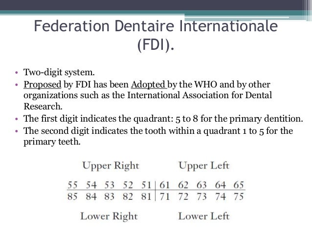 Dental Nomenclature Chart