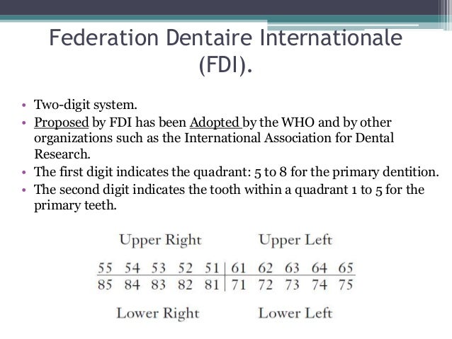 Fdi Notation Charting