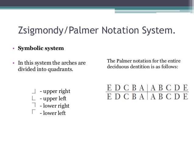 Palmer Notation Charting