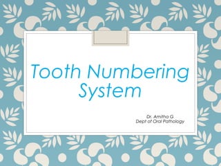 Tooth Numbering
System
Dr. Amitha G
Dept of Oral Pathology
 