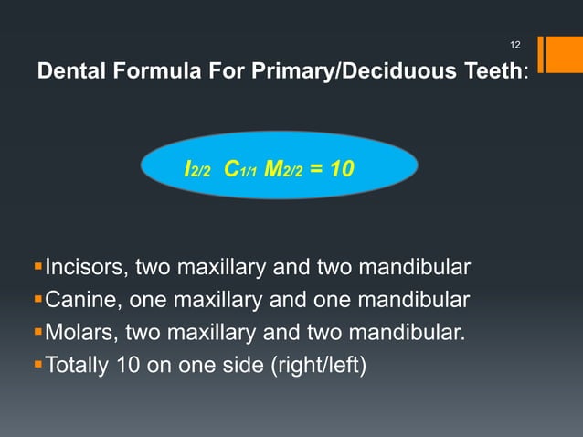 Tooth numbering system | PPTX