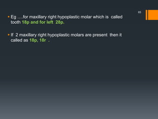 Tooth numbering system | PPTX