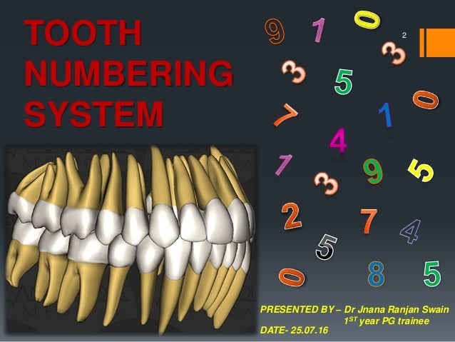 tooth numbering system tooth numbering system