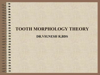 TOOTH MORPHOLOGY THEORY
DR.VIGNESH R,BDS
 