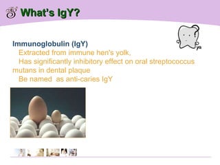 What’s IgY? Immunoglobulin (IgY)  Extracted from immune hen's yolk,  Has significantly inhibitory effect on oral streptococcus  mutans in dental plaque Be named  as anti-caries IgY 