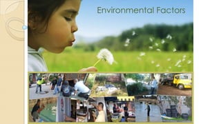 Environmental Factors
 