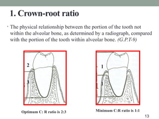 1. Crown-root ratio
• The physical relationship between the portion of the tooth not
within the alveolar bone, as determined by a radiograph, compared
with the portion of the tooth within alveolar bone. (G.P.T-9)
Optimum C: R ratio is 2:3 Minimum C:R ratio is 1:1
2
3
1
1
13
 