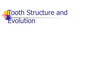 Tooth Structure and
Evolution
 