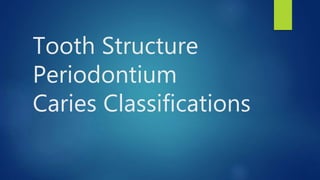 Tooth Structure
Periodontium
Caries Classifications
 