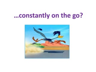 …constantly on the go?
 
