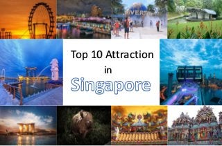 Top 10 Attraction
in
 