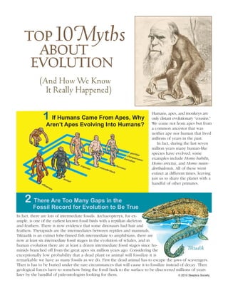 top10 Myths
      about
     evolution
             (And How We Know
               It Really Happened)

               1 If Humans Came From Apes, Why                                   Humans, apes, and monkeys are
                                                                                 only distant evolutionary “cousins.”
                 Aren’t Apes Evolving Into Humans?                               We come not from apes but from
                                                                                 a common ancestor that was
                                                                                 neither ape nor human that lived
                                                                                 millions of years in the past.
                                                                                    In fact, during the last seven
                                                                                 million years many human-like
                                                                                 species have evolved; some
                                                                                 examples include Homo habilis,
                                                                                 Homo erectus, and Homo nean-
                                                                                 derthalensis. All of these went
                                                                                 extinct at different times, leaving
                                                                                 just us to share the planet with a
                                                                                 handful of other primates.



    2 There Are Too Many Gaps in the
         Fossil Record for Evolution to Be True
In fact, there are lots of intermediate fossils. Archaeopteryx, for ex-
ample, is one of the earliest known fossil birds with a reptilian skeleton
and feathers. There is now evidence that some dinosaurs had hair and
feathers. Therapsids are the intermediates between reptiles and mammals,
Tiktaalik is an extinct lobe-finned fish intermediate to amphibians, there are
now at least six intermediate fossil stages in the evolution of whales, and in
human evolution there are at least a dozen intermediate fossil stages since ho-
minids branched off from the great apes six million years ago. Considering the                     Tiktaalik
exceptionally low probability that a dead plant or animal will fossilize it is
remarkable we have as many fossils as we do. First the dead animal has to escape the jaws of scavengers.
Then is has to be buried under the rare circumstances that will cause it to fossilize instead of decay. Then
geological forces have to somehow bring the fossil back to the surface to be discovered millions of years
later by the handful of paleontologists looking for them.                                    © 2010 Skeptics Society
 