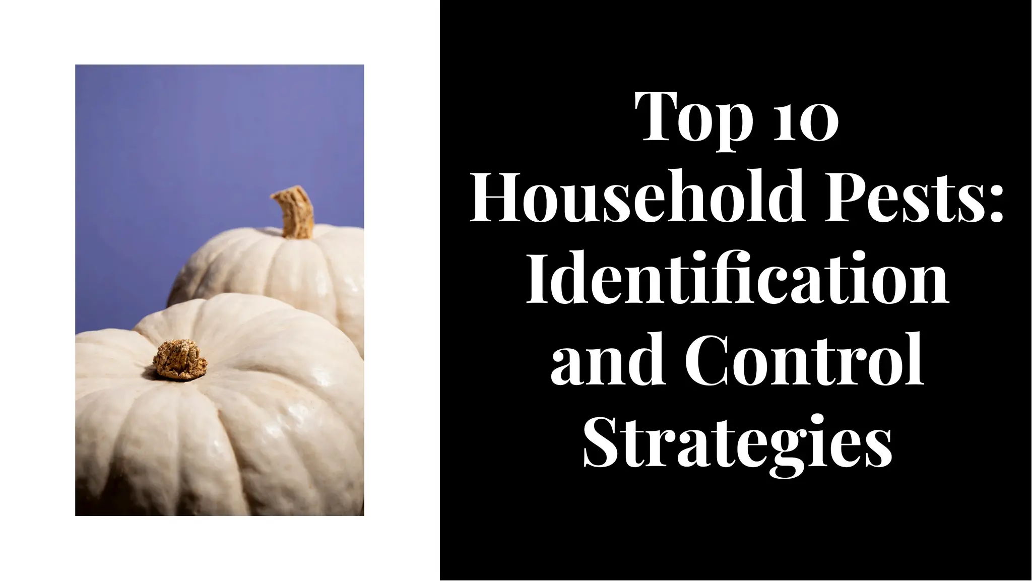 Top-10-household-pests-identification-and-control-strategies.pdf