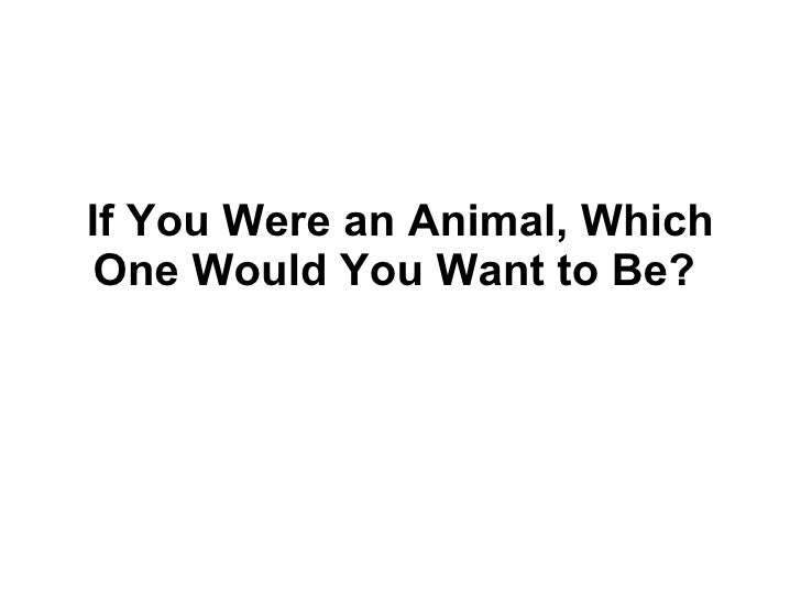 if u were an animal what would you be