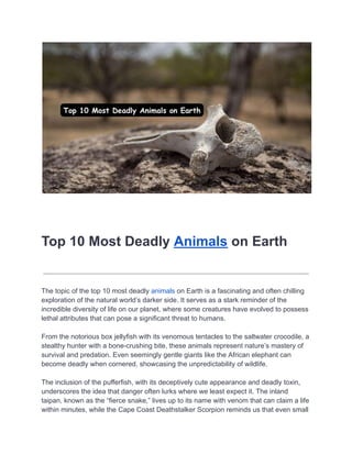 BlogAnimal NewsFascinating Facts About Animals
Top 10 Most Deadly Animals on Earth
The topic of the top 10 most deadly animals on Earth is a fascinating and often chilling
exploration of the natural world’s darker side. It serves as a stark reminder of the
incredible diversity of life on our planet, where some creatures have evolved to possess
lethal attributes that can pose a significant threat to humans.
From the notorious box jellyfish with its venomous tentacles to the saltwater crocodile, a
stealthy hunter with a bone-crushing bite, these animals represent nature’s mastery of
survival and predation. Even seemingly gentle giants like the African elephant can
become deadly when cornered, showcasing the unpredictability of wildlife.
The inclusion of the pufferfish, with its deceptively cute appearance and deadly toxin,
underscores the idea that danger often lurks where we least expect it. The inland
taipan, known as the “fierce snake,” lives up to its name with venom that can claim a life
within minutes, while the Cape Coast Deathstalker Scorpion reminds us that even small
 