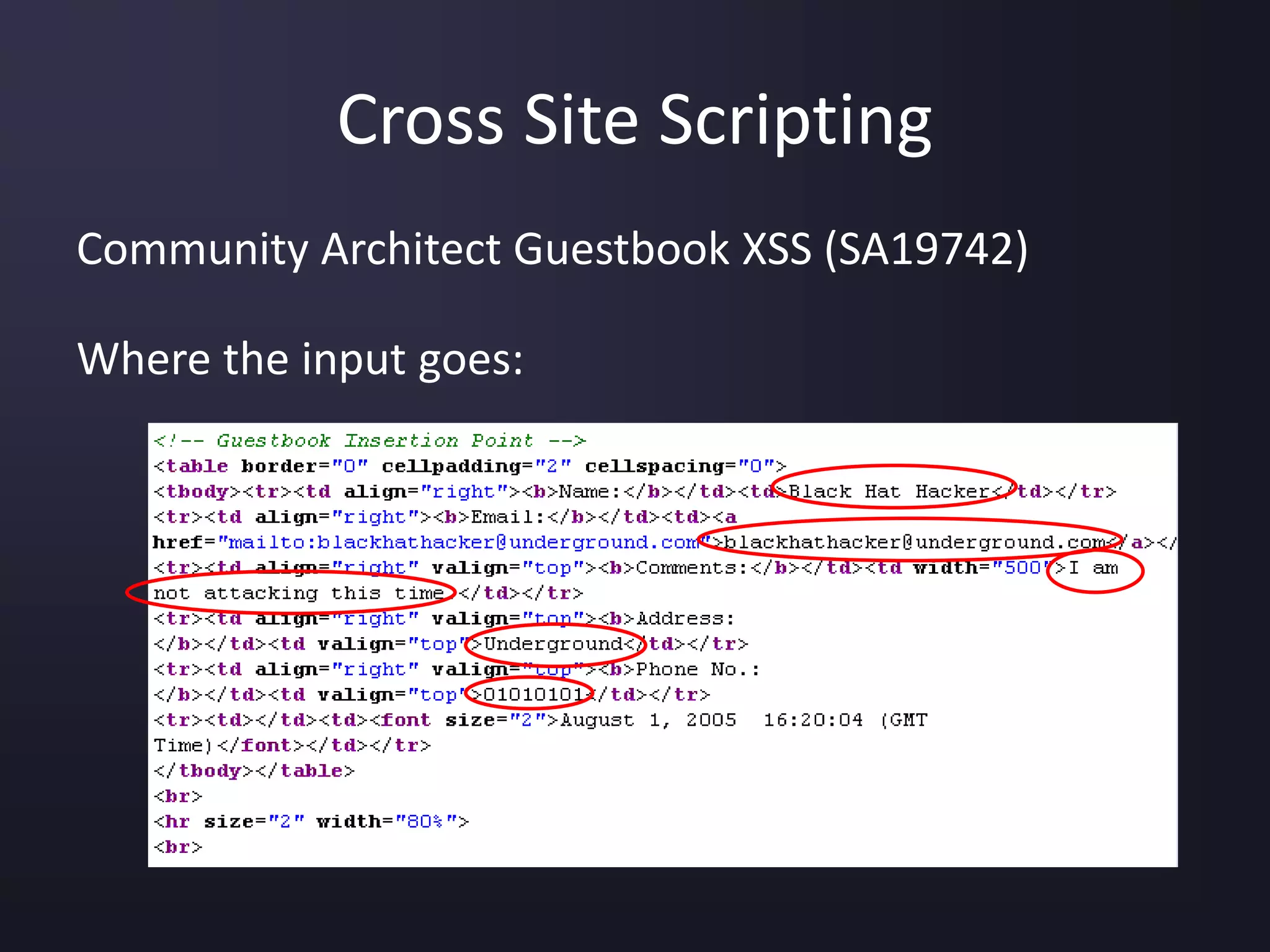 Cross Site Scripting
Community Architect Guestbook XSS (SA19742)
Where the input goes:
 