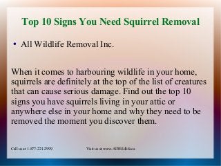Top 10 Signs You Need Squirrel Removal 
● All Wildlife Removal Inc. 
When it comes to harbouring wildlife in your home, 
squirrels are definitely at the top of the list of creatures 
that can cause serious damage. Find out the top 10 
signs you have squirrels living in your attic or 
anywhere else in your home and why they need to be 
removed the moment you discover them. 
Call us at 1-877-221-2999 Visit us at www.AllWildlife.ca 
 