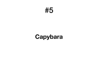#5
Capybara
 