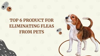 TOP 6 PRODUCT FOR
ELIMINATING FLEAS
FROM PETS
 