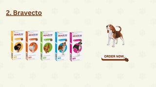 Top 6 Product For Eliminating Fleas From Pets - Canada Vet Express
