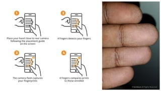 ©Veridium All Rights Reserved
 