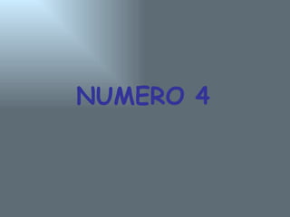 NUMERO 4 