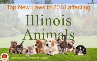 Top New Laws in 2018 affecting
Illinois
Animals
Illinois Senate Democratic Caucus
 