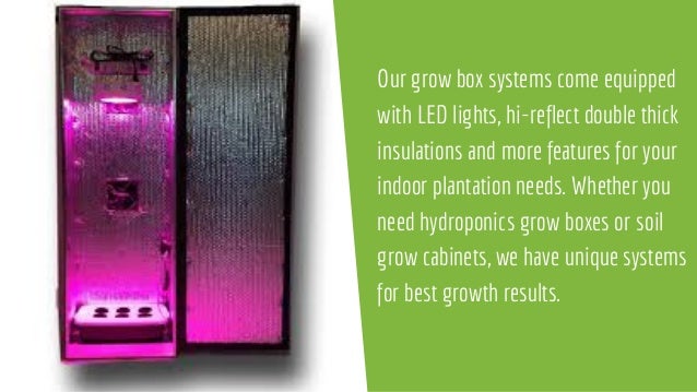Top Quality Grow Box And Cabinet Systems For Exceptionally Fast Plant