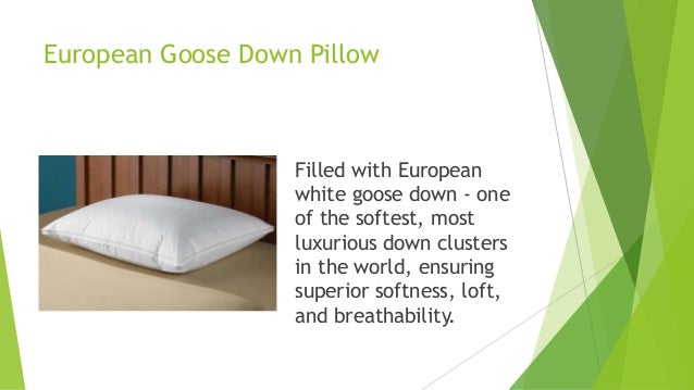 Top Rated Pillows 2017