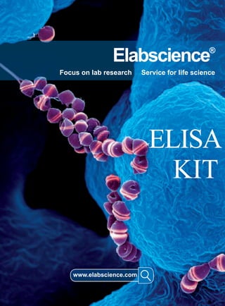 Elabscience®
Focus on lab research Service for life science
ELISA
KIT
www.elabscience.com
 