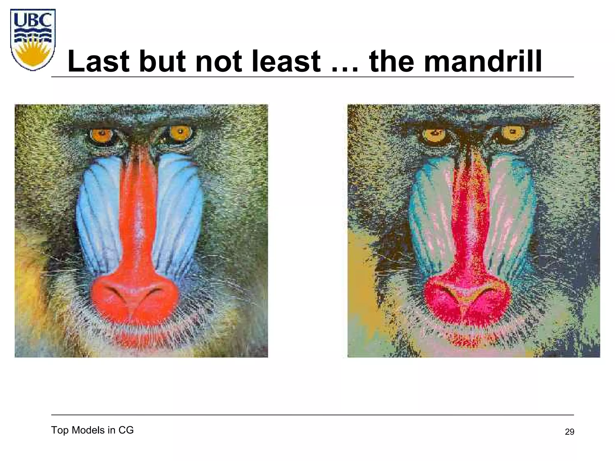 Top Super-models of Computer Graphics