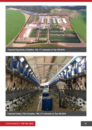 LEVANTAMENTO TOP 100 • 2018 15
Fazenda Figueiredo, Cristalina - GO, 17ª colocada no Top 100 2018
Fazenda Cobiça, Três Corações - MG, 21ª colocada no Top 100 2018
 