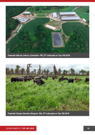 LEVANTAMENTO TOP 100 • 2018 18
Fazenda Campo Grande, Ibirapuã - BA, 47ª colocada no Top 100 2018
Fazenda Vale do Jotuva, Carambeí - PR, 27ª colocada no Top 100 2018
 