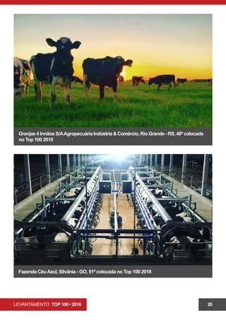 LEVANTAMENTO TOP 100 • 2018 20
Granjas 4 Irmãos S/AAgropecuária Indústria & Comércio, Rio Grande - RS, 48ª colocada
no Top 100 2018
Fazenda CéuAzul, Silvânia - GO, 51ª colocada no Top 100 2018
 