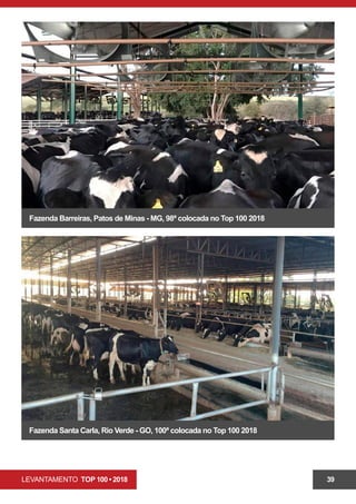 LEVANTAMENTO TOP 100 • 2018 39
Fazenda Barreiras, Patos de Minas - MG, 98ª colocada no Top 100 2018
Fazenda Santa Carla, Rio Verde - GO, 100ª colocada no Top 100 2018
 