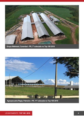 LEVANTAMENTO TOP 100 • 2018 4
Grupo Melkstad, Carambeí - PR, 7º colocado no Top 100 2018
Agropecuária Régia, Palmeira - PR, 11ª colocada no Top 100 2018
 