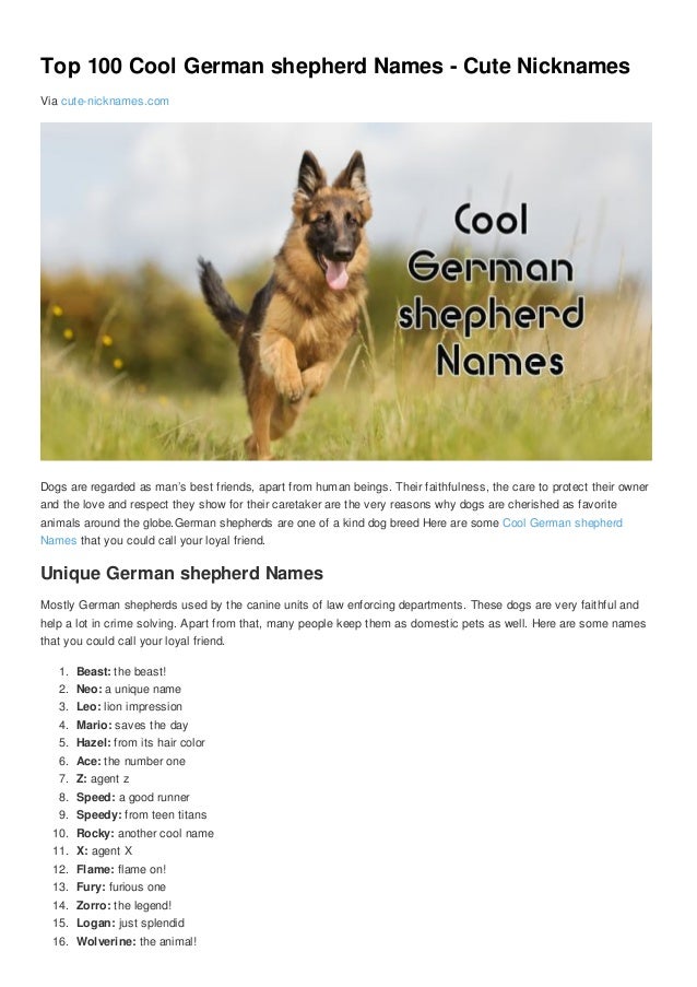 cool female german shepherd names