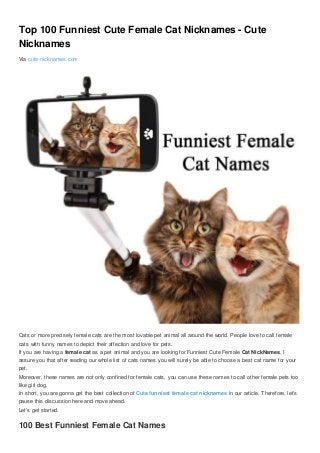 Top 100 Funniest Cute Female Cat Nicknames - Cute
Nicknames
Via cute-nicknames.com
Cats or more precisely female cats are the most lovable pet animal all around the world. People love to call female
cats with funny names to depict their affection and love for pets.
If you are having a female cat as a pet animal and you are looking for Funniest Cute Female Cat NickNames, I
assure you that after reading our whole list of cats names you will surely be able to choose a best cat name for your
pet.
Moreover, these names are not only confined for female cats, you can use these names to call other female pets too
like girl dog.
In short, you are gonna get the best collection of Cute funniest female cat nicknames in our article. Therefore, let’s
pause this discussion here and move ahead.
Let’s get started.
100 Best Funniest Female Cat Names
 