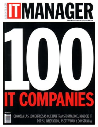 DBAccess Top 100 IT Companies 2008
