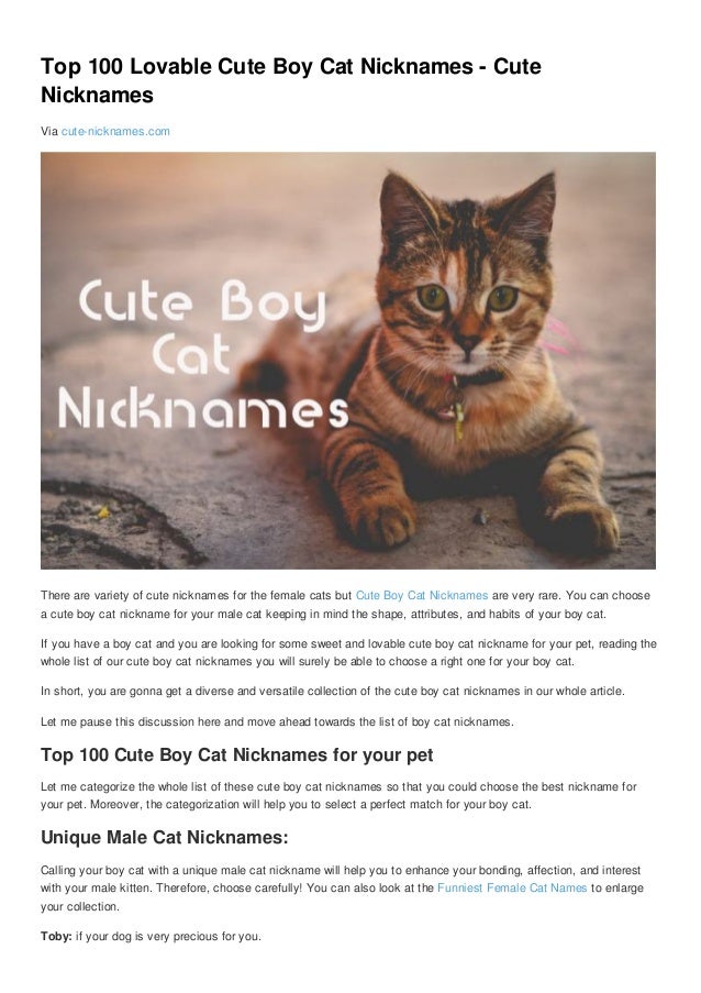 Funny pet names. Кошка ник. Pets nicknames. Cat's nickname. Some Cat bois.