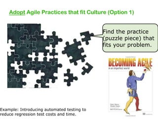 Adopt Agile Practices that fit Culture (Option 1)

Example: Introducing automated testing to
reduce regression test costs and time.

Find the practice
(puzzle piece) that
fits your problem.

 