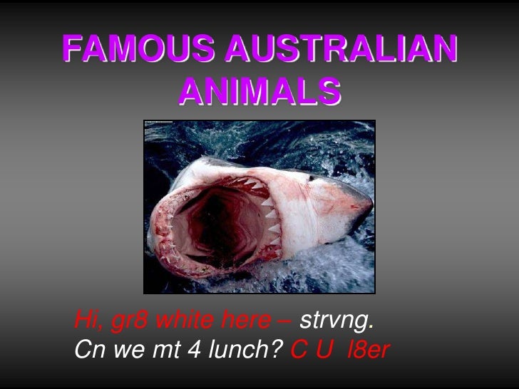 Top 10 australian dangerous animals from 10 to 6